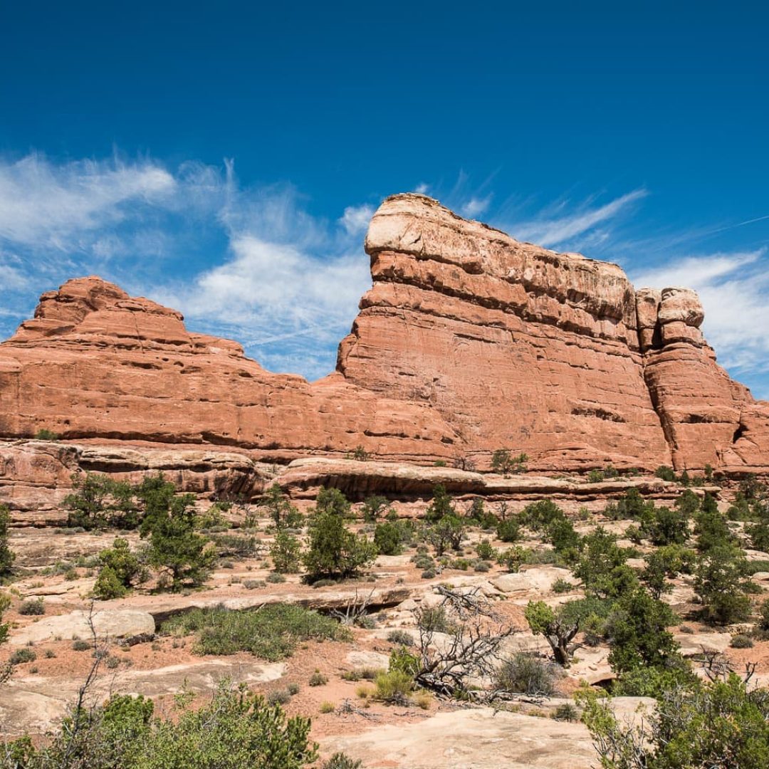 Canyonlands - The Needles // Utah