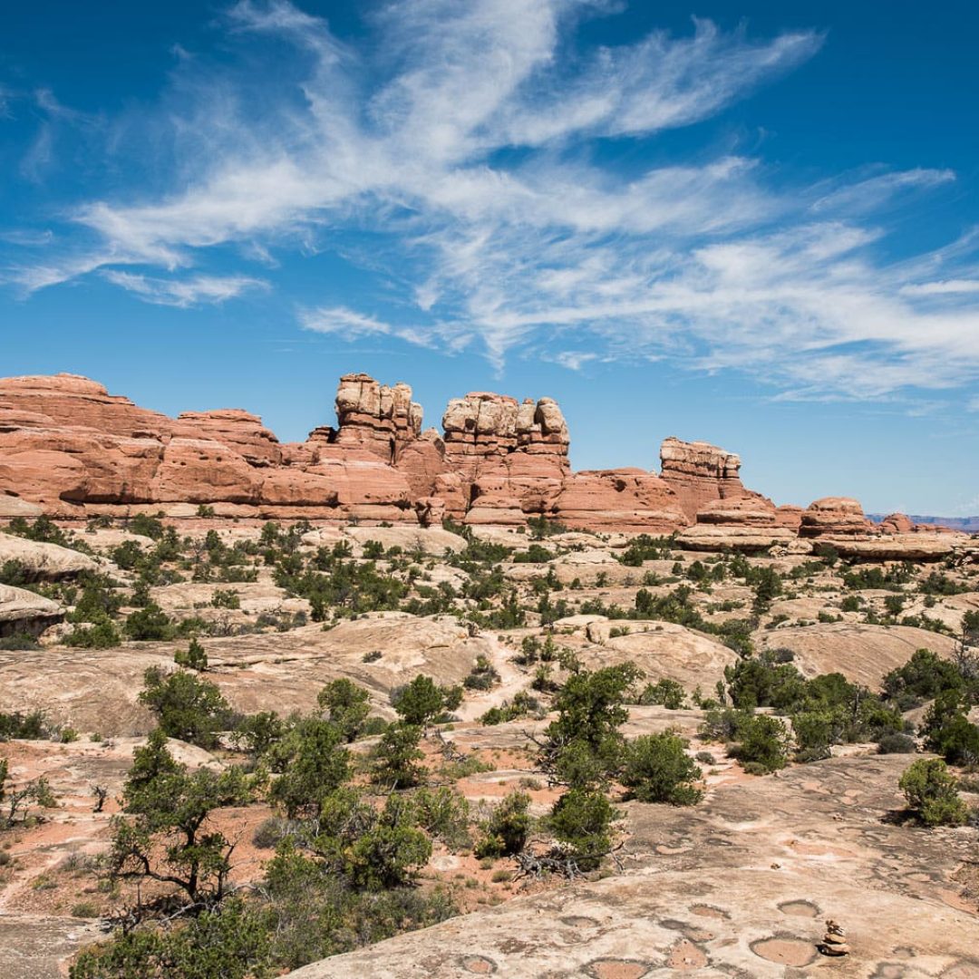 Canyonlands - The Needles // Utah