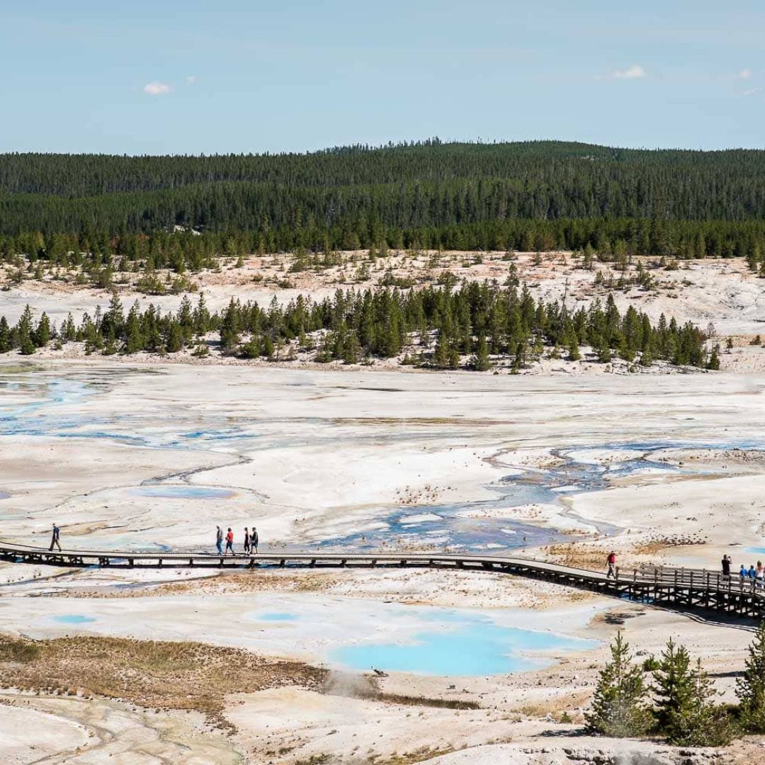 Dans toutes ses couleursYellowstone National Park // Wyoming