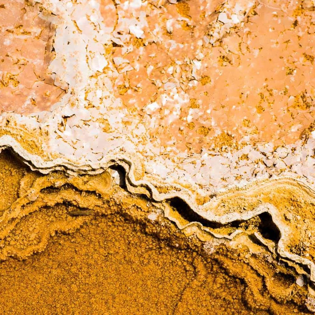 Vu de procheYellowstone National Park // Wyoming