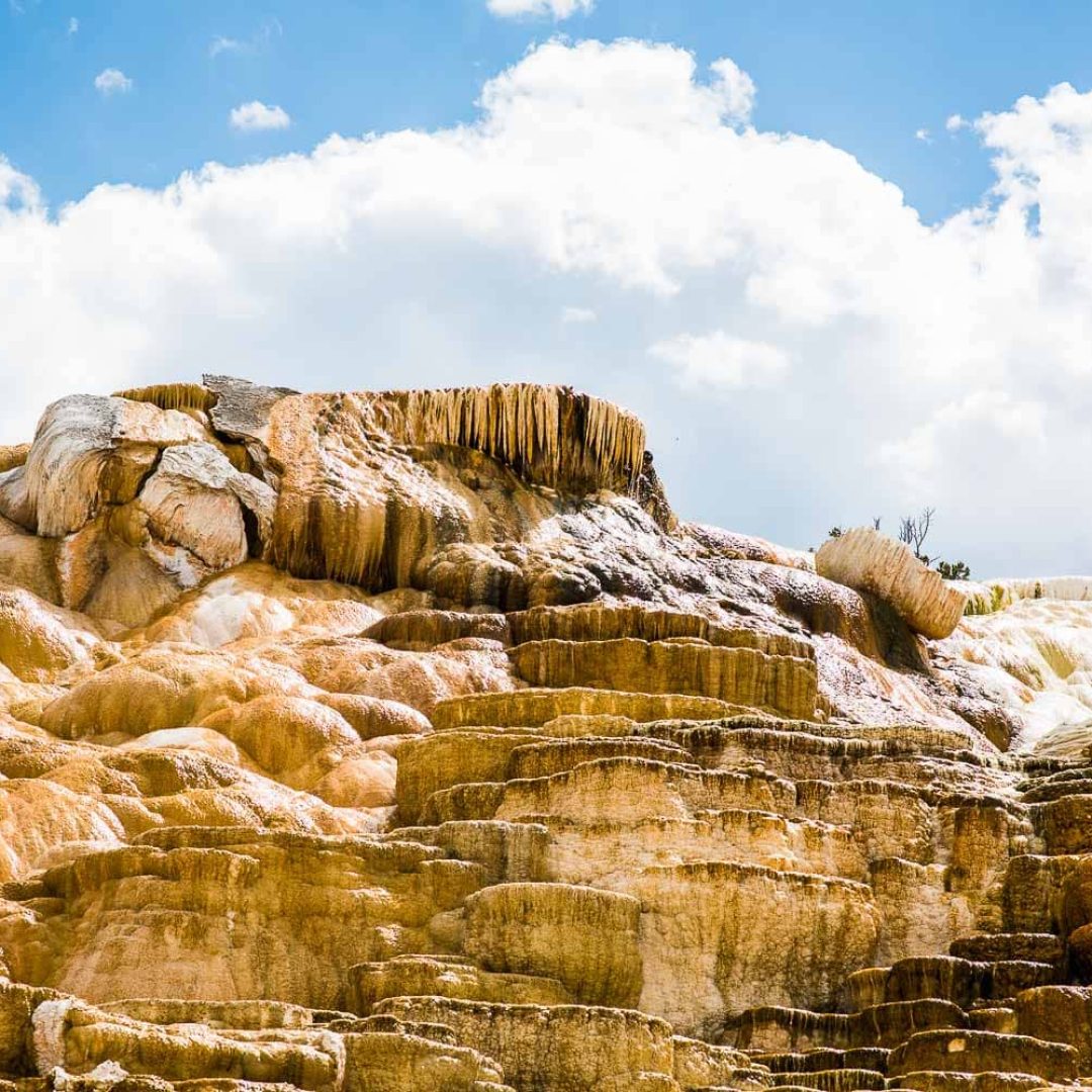 Dans toutes ses couleursYellowstone National Park // Wyoming