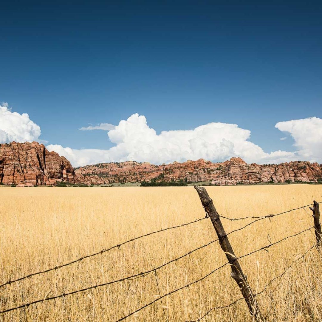 Zion National Park & alentours // Utah