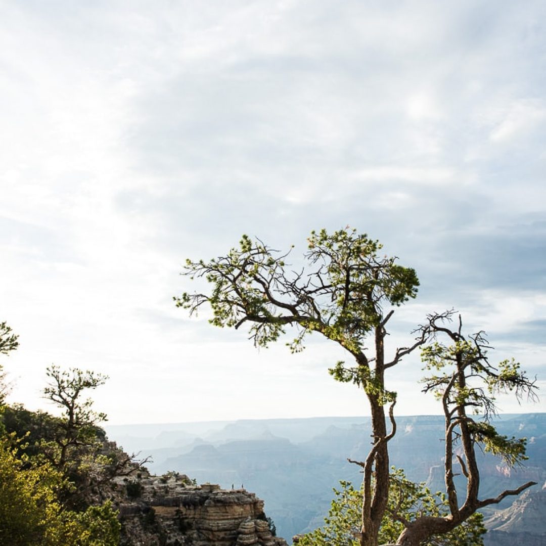 Grand Canyon National Park // Arizona