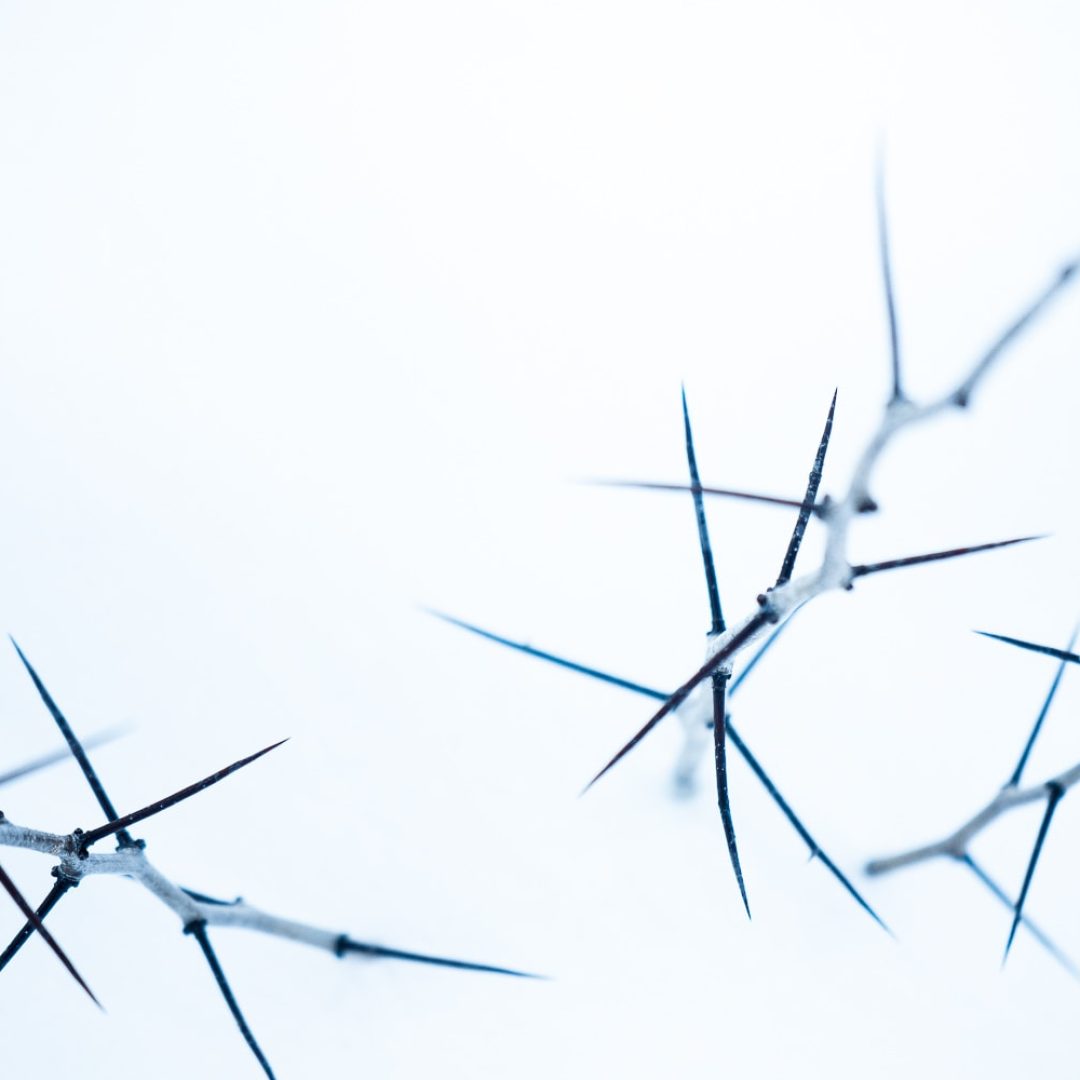 macro hiver
