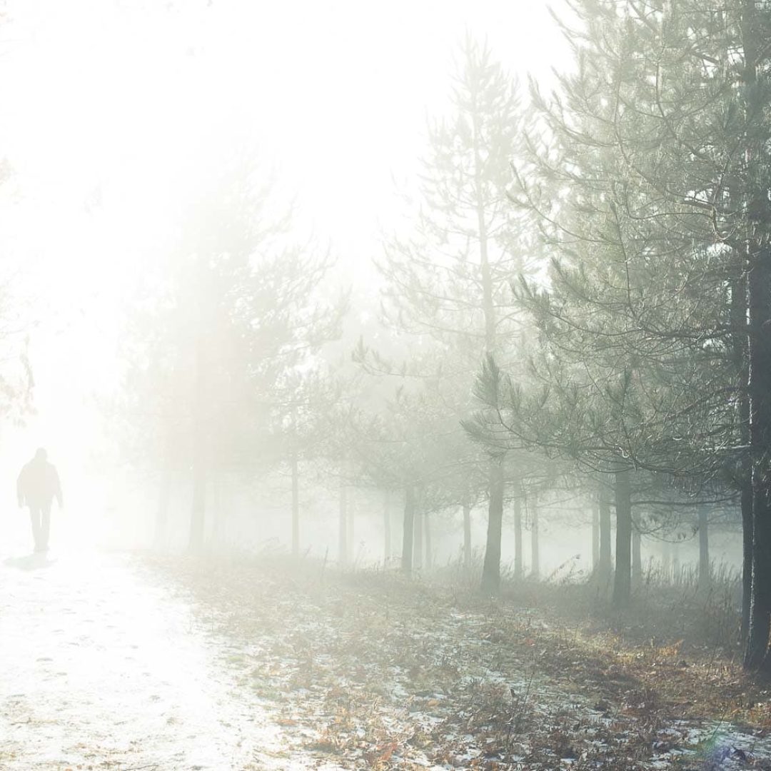 Un matin de brume...